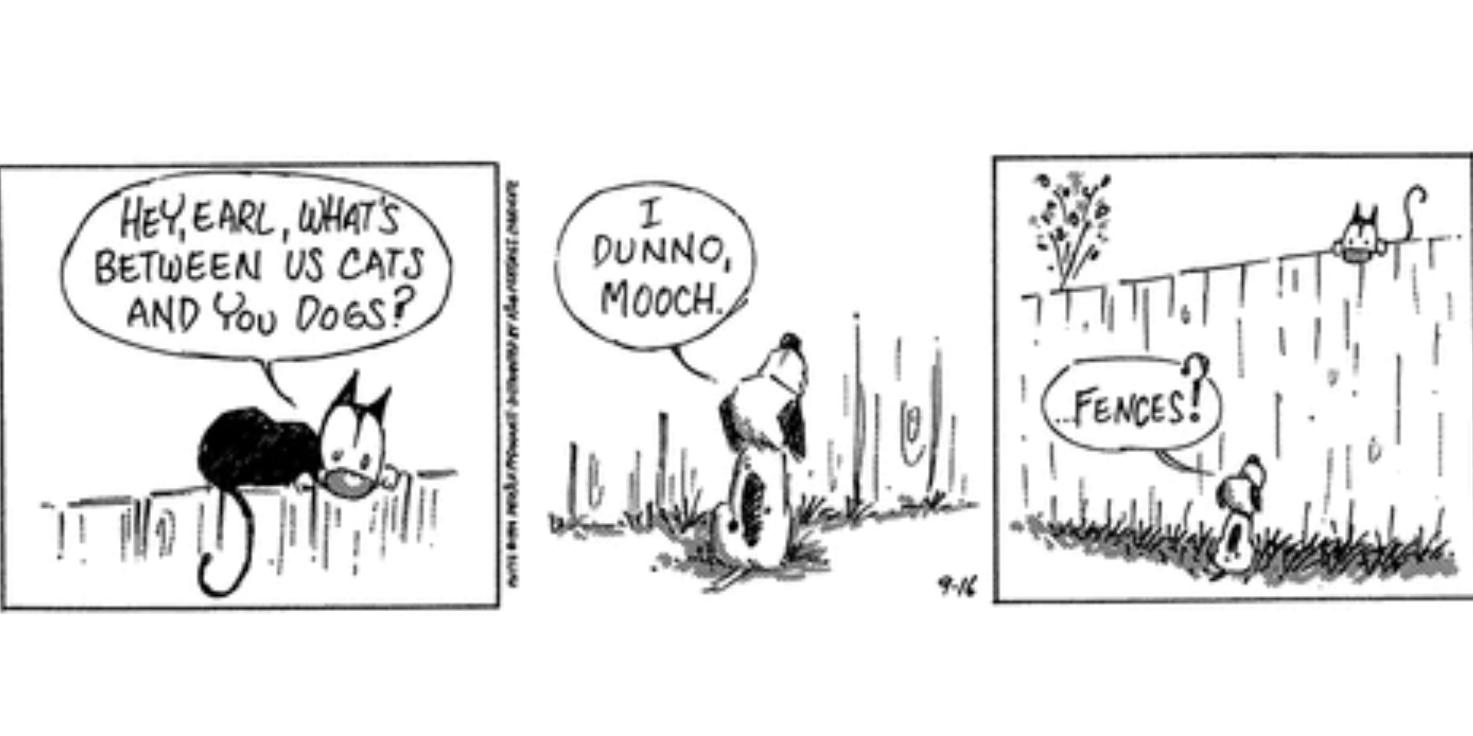 MUTTS Comic strip of cat asks dog what the difference is between them and the dog says "Fences" while a fence separates them