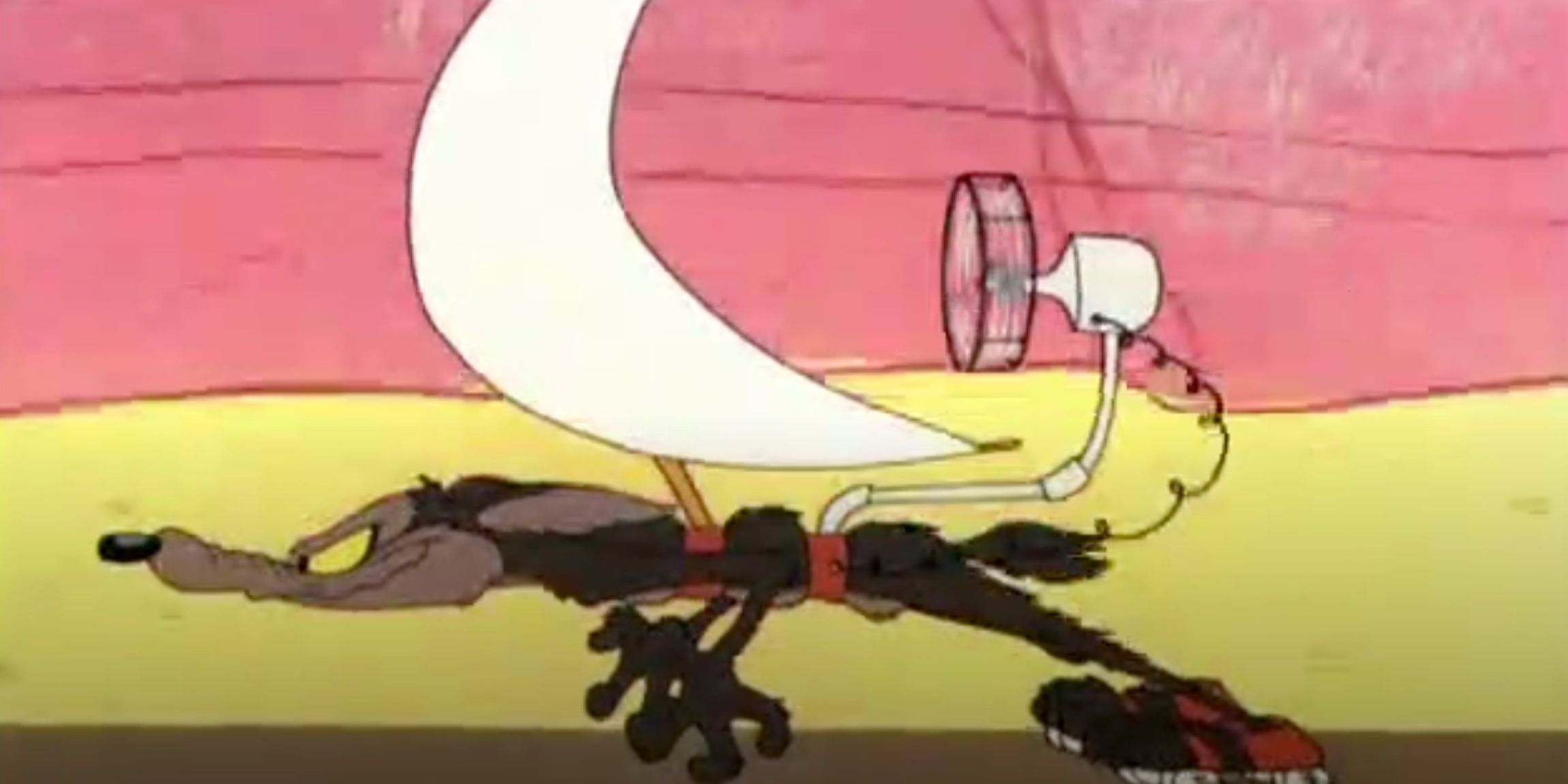 Looney Tunes: Wile E. Coyote's Best Road Runner Traps