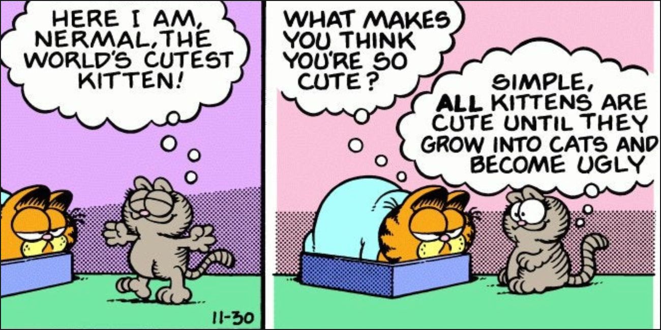 10 Best Garfield Comic Strip Characters, Ranked - CitiGist