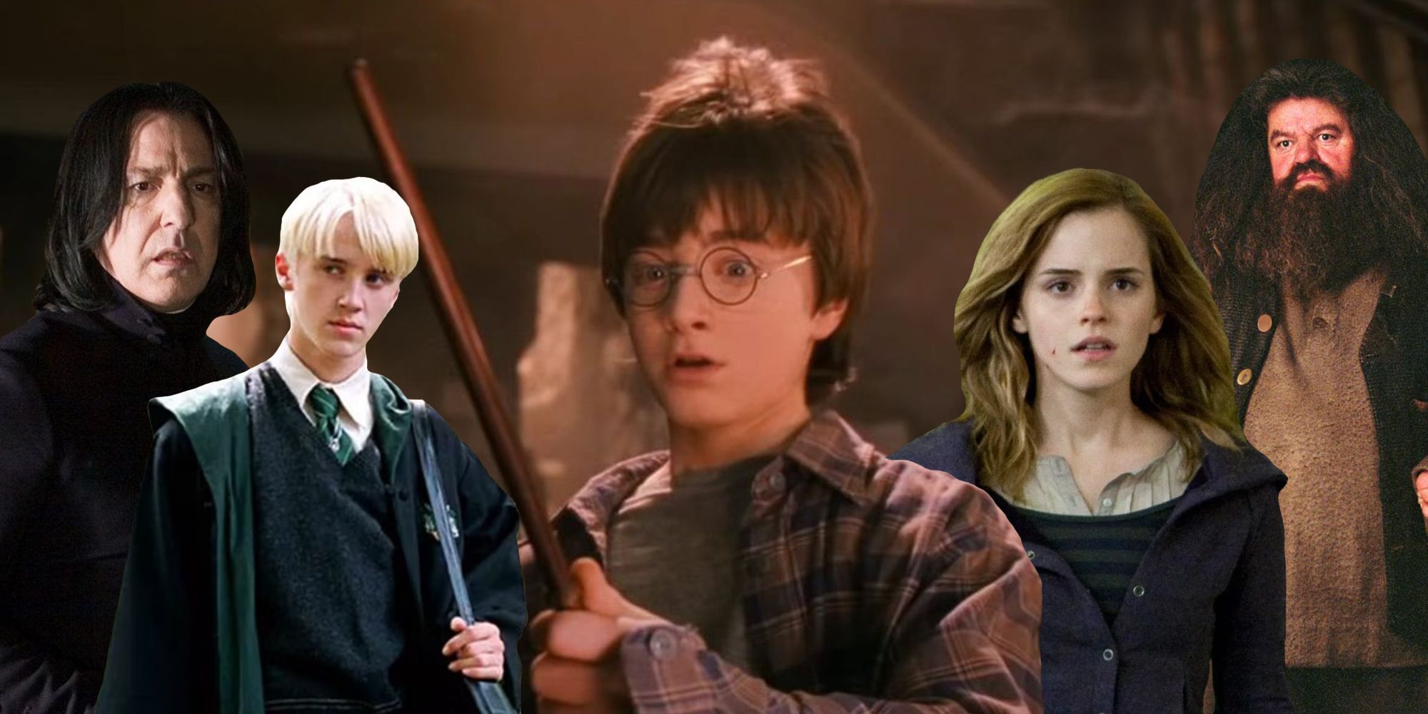 Harry Potter, Snape, Draco, Harry, Hermione, Hagrid