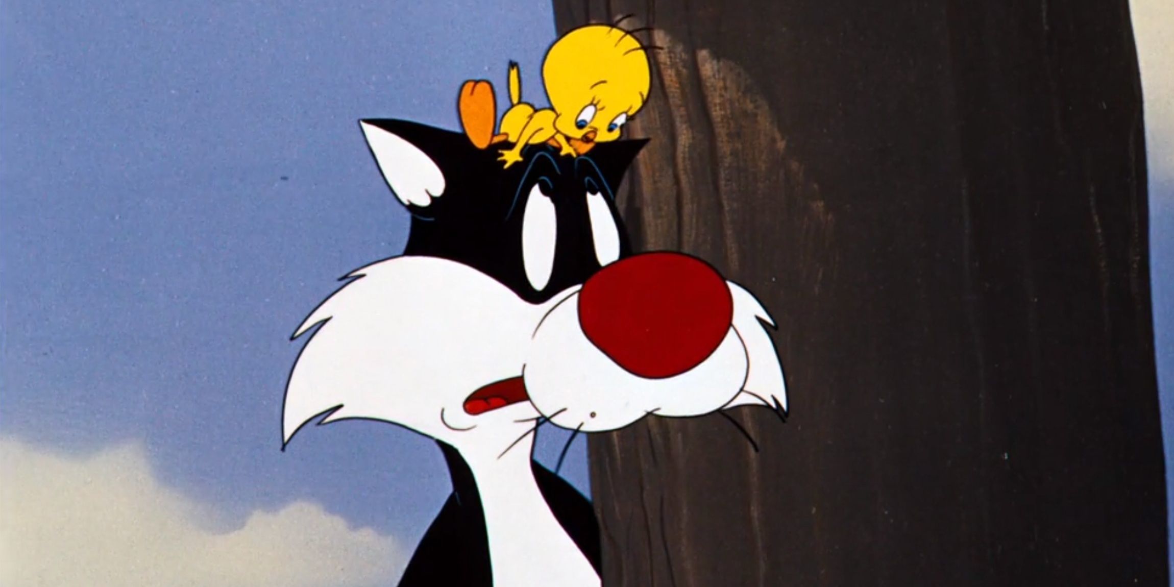 Sylvester and Tweety on his head