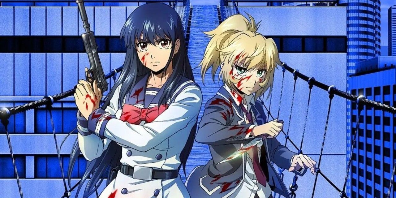 10 Best Female-Female Friendships In Shonen Anime