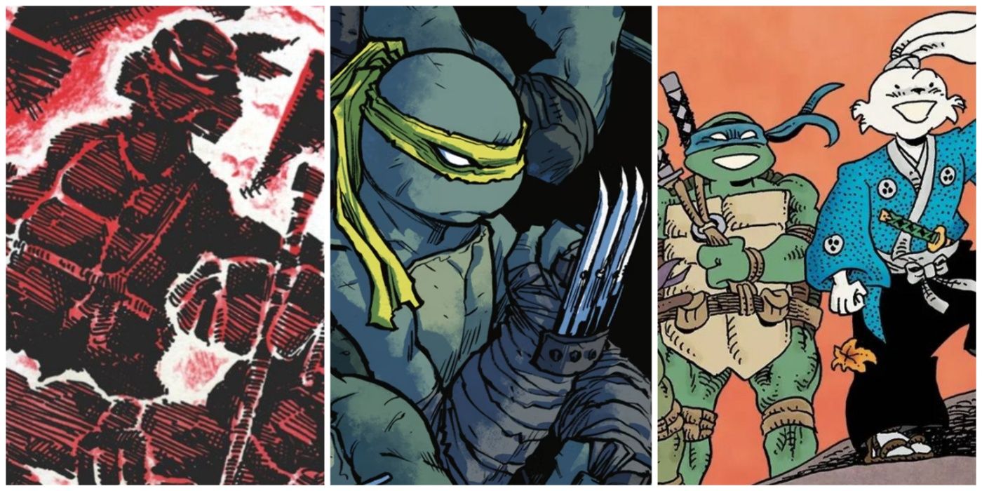 Teenage Mutant Ninja Turtles #1, the debut of Jennika and team-up with Usagi Yojimbo (right) are solid Teenage Mutant Ninja Turtles comics for new readers