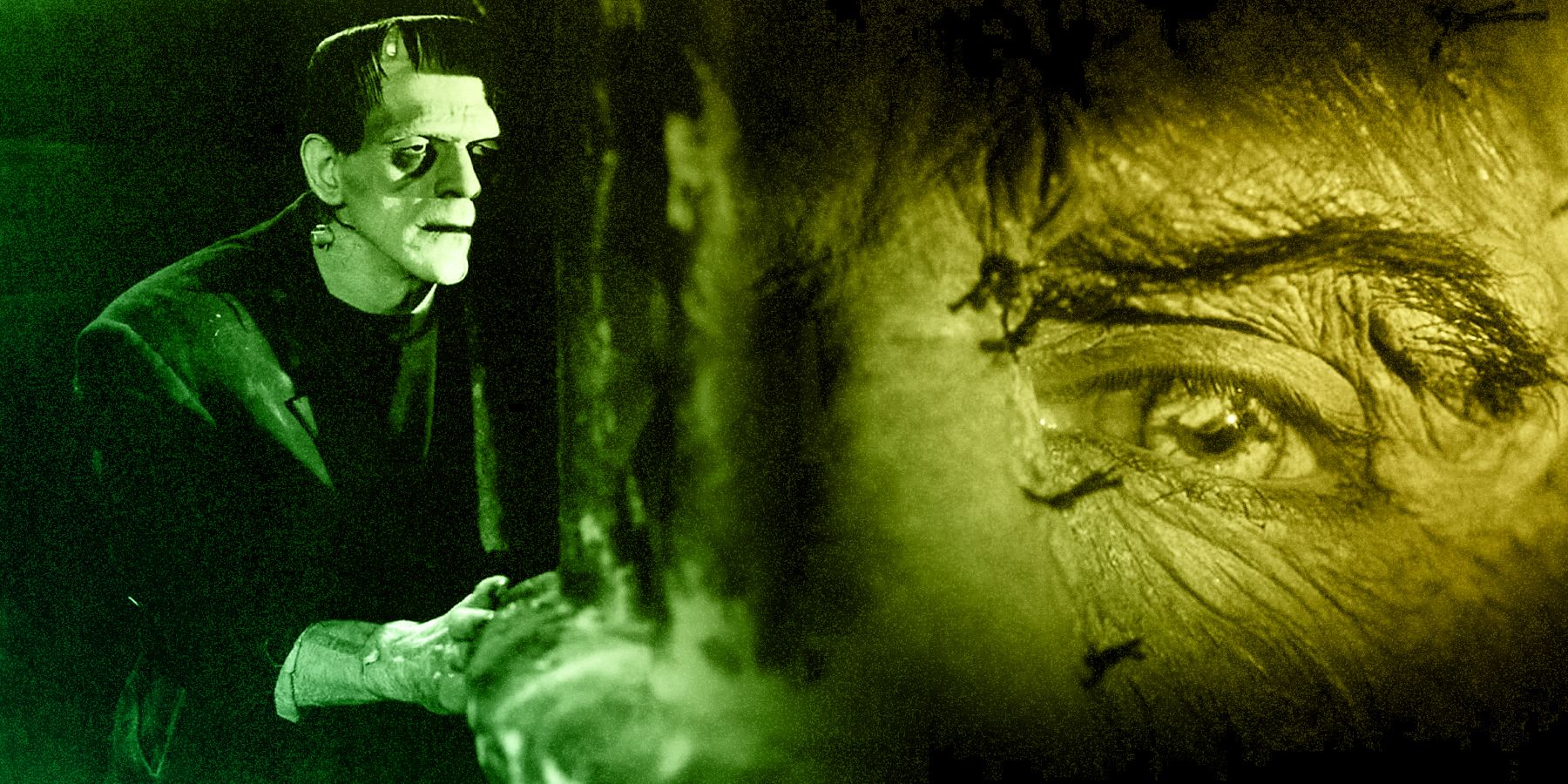 Boris Karloff as the Monster in 1931's Frankenstein and Robert De Niro as the Monster in 1994's Mary Shelley's Frankenstein