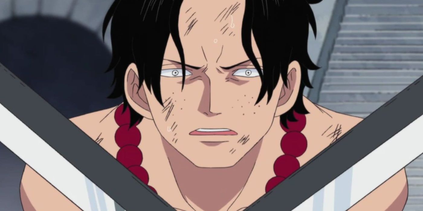 Ace One Piece Anime Pirates, One Piece Luffy Ace Pirates