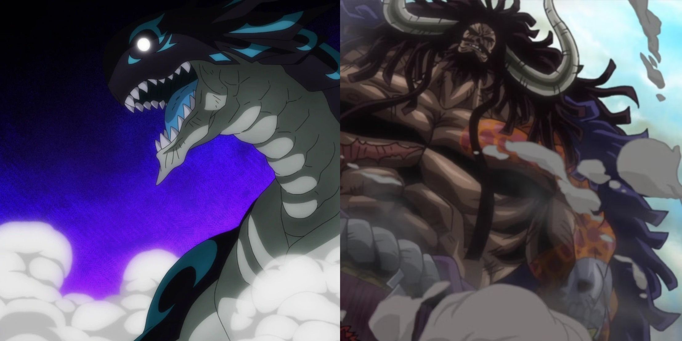 Kaido And Luffy Are True Leaders