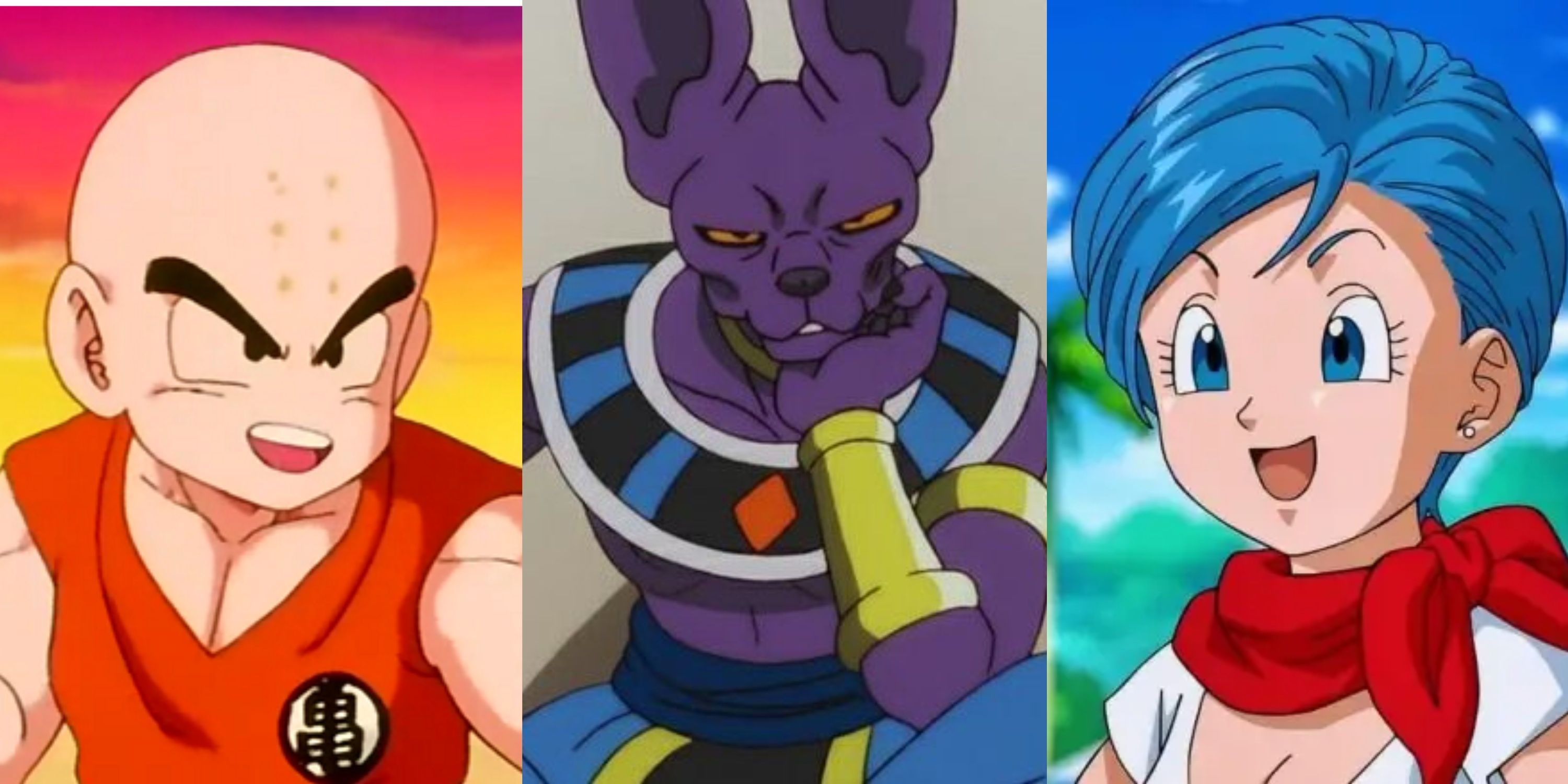 Characters Who Deserve Their Own Dragon Ball Super Movie