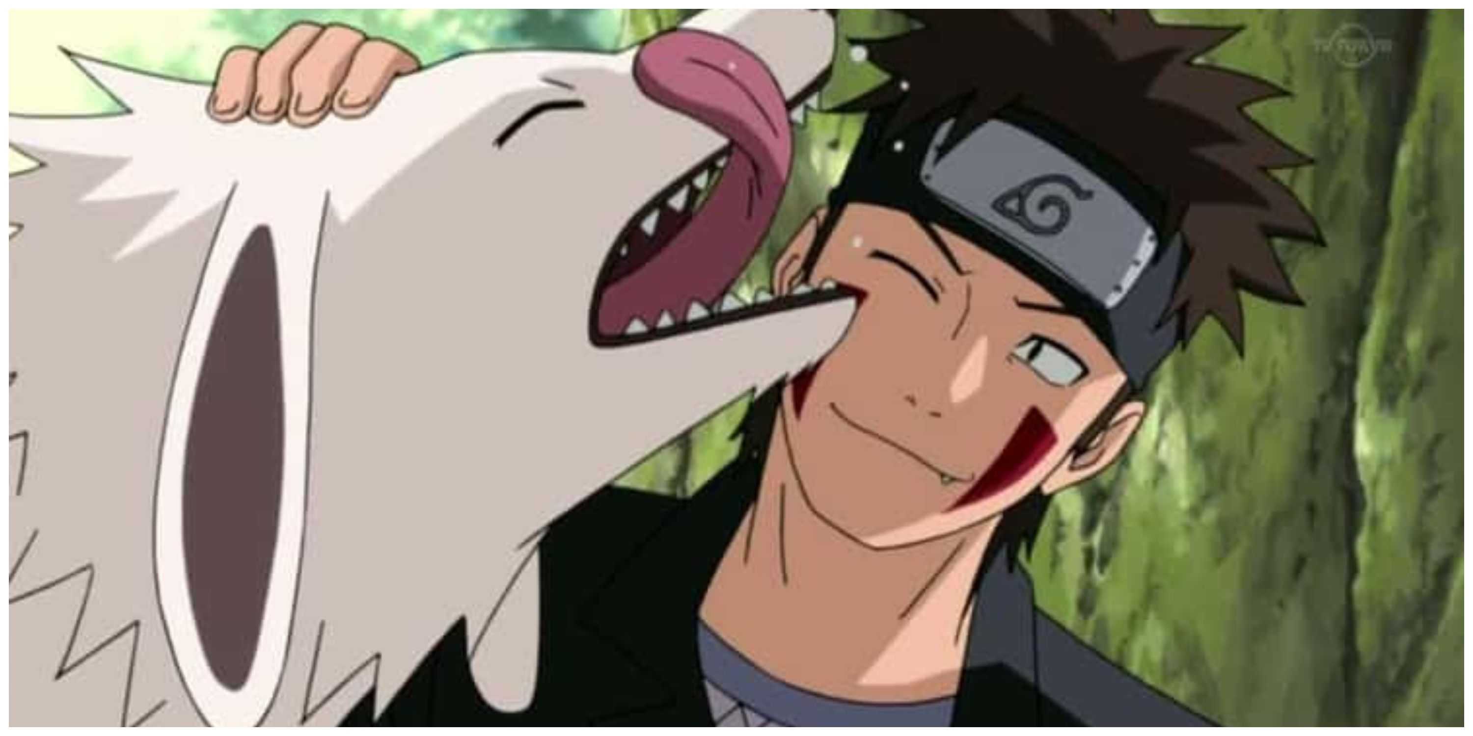 Akamaru licks Kiba in Naruto Shippuden