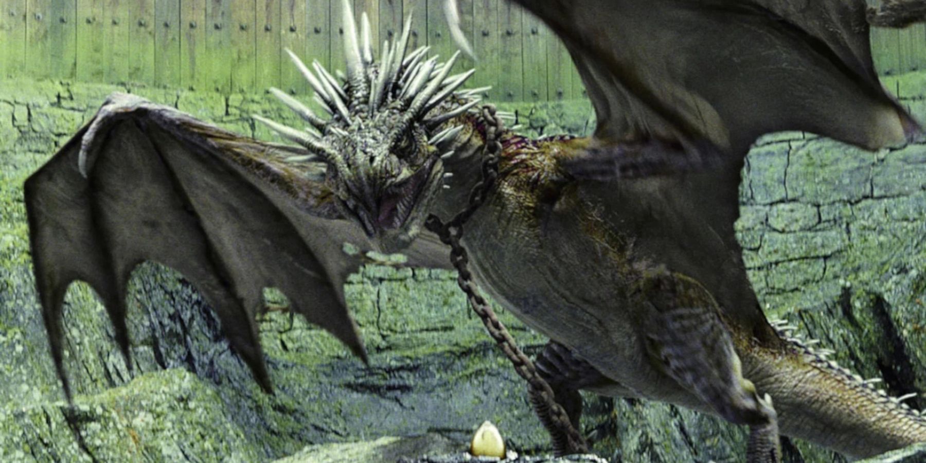 Um dragão Rabo-Córneo Húngaro protegendo um ovo de ouro em Harry Potter e o Cálice de Fogo