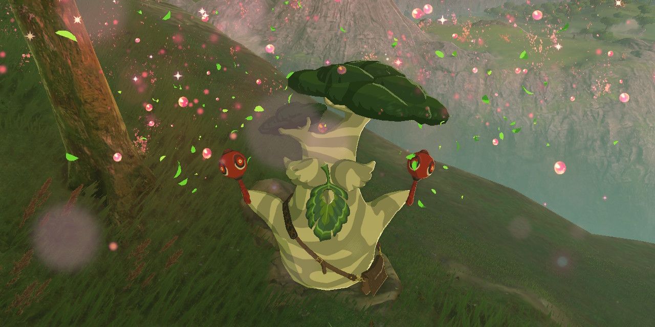 Hestu comemora o retorno das sementes Korok em The Legend of Zelda: Breath of the Wild