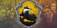 Why Hufflepuff s Mascot Is A Badger In Harry Potter