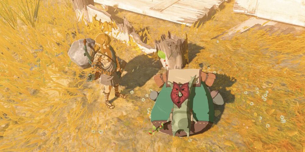 The Legend of Zelda: Tears of the Kingdom – Um Korok deitado em cima de sua mochila