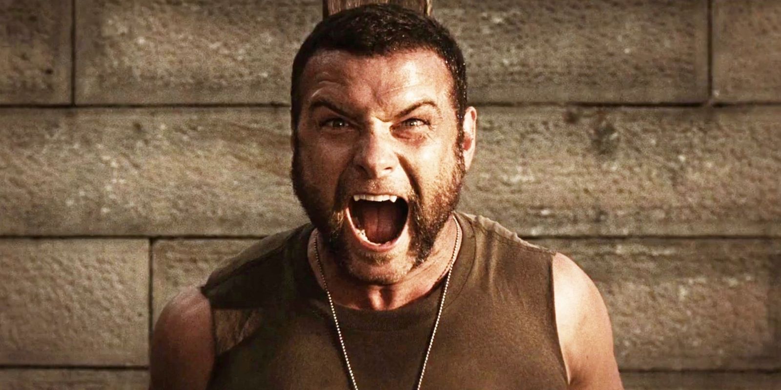 Liev Schreiber as Sabertooth in X-Men Origins: Wolverine.