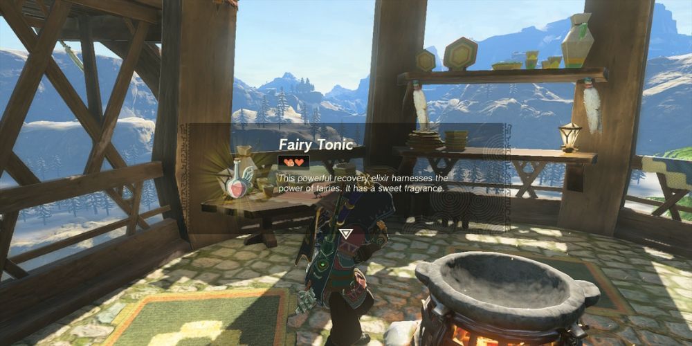 Link Cooking Fairy Tonic em Tears of the Kingdom