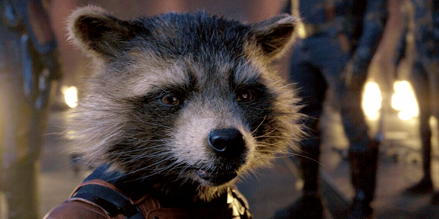 Rocket looking upset in Guardians of the Galaxy Vol. 3.