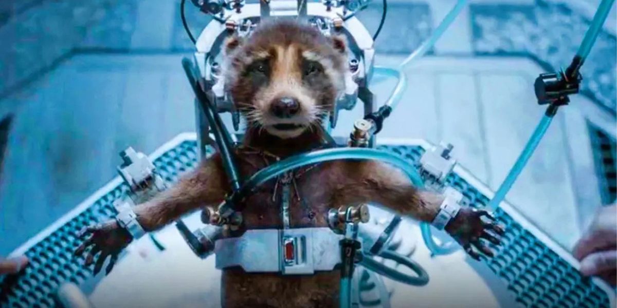 Rocket Raccoon tied down for experimentation in Guardians of the Galaxy Vol 3