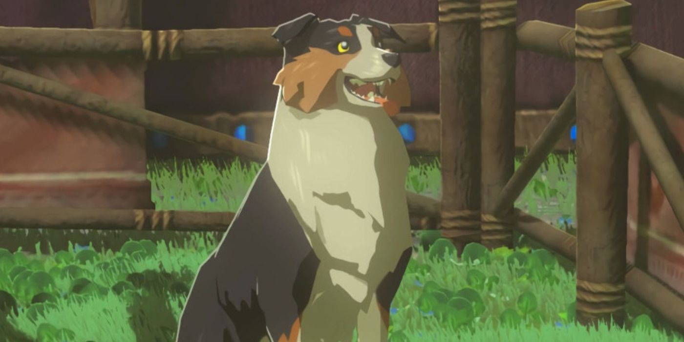 A close up of a dog in Zelda: Tears of the Kingdom