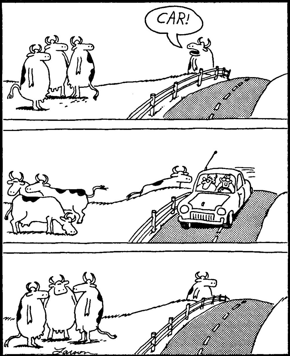 Vacas fingem ser normais enquanto um carro passa na história em quadrinhos The Far Side, de Gary Larson