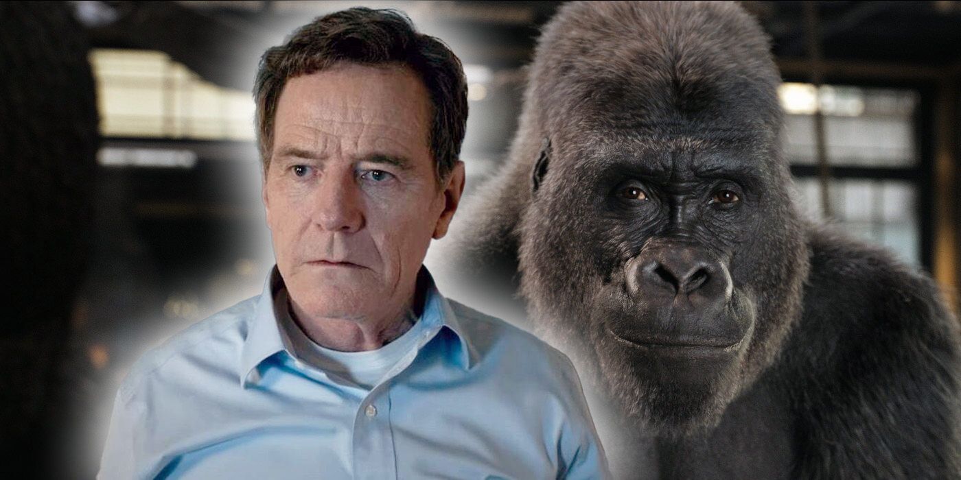 Bryan Cranston beside an image of Ivan the gorilla from The One and Only Ivan.