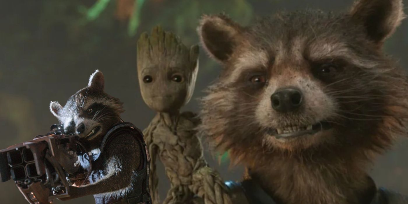 A combined image of Rocket Raccoon and Groot in the Guardians of the Galaxy movies