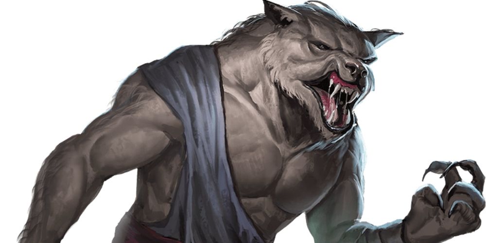 A Werewolf in hybrid form in DnD