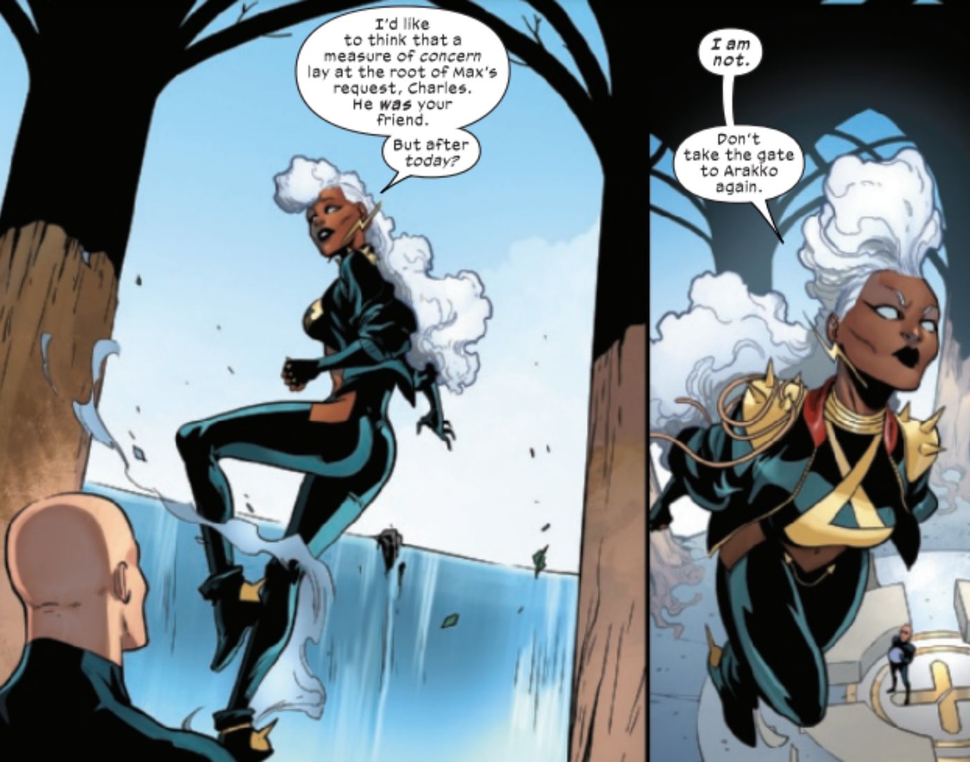 Storm voa para longe depois de dizer a Charles Xavier que sua amizade acabou e que ele não é bem-vindo em Arakko.