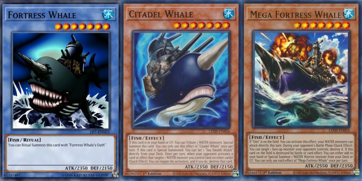 cartão de monstro de ritual de baleia de fortaleza yugioh com retreinamento de baleia de fortaleza e baleia de mega fortaleza