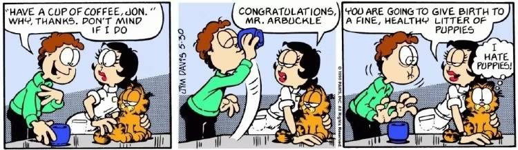 Garfield Comic Strip