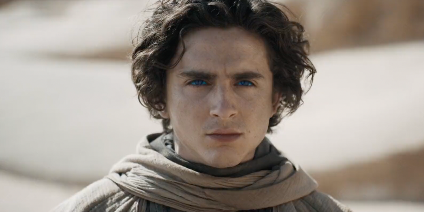 Paul Atreides (Timothée Chalamet) stands in the desert in Dune: Part Two.