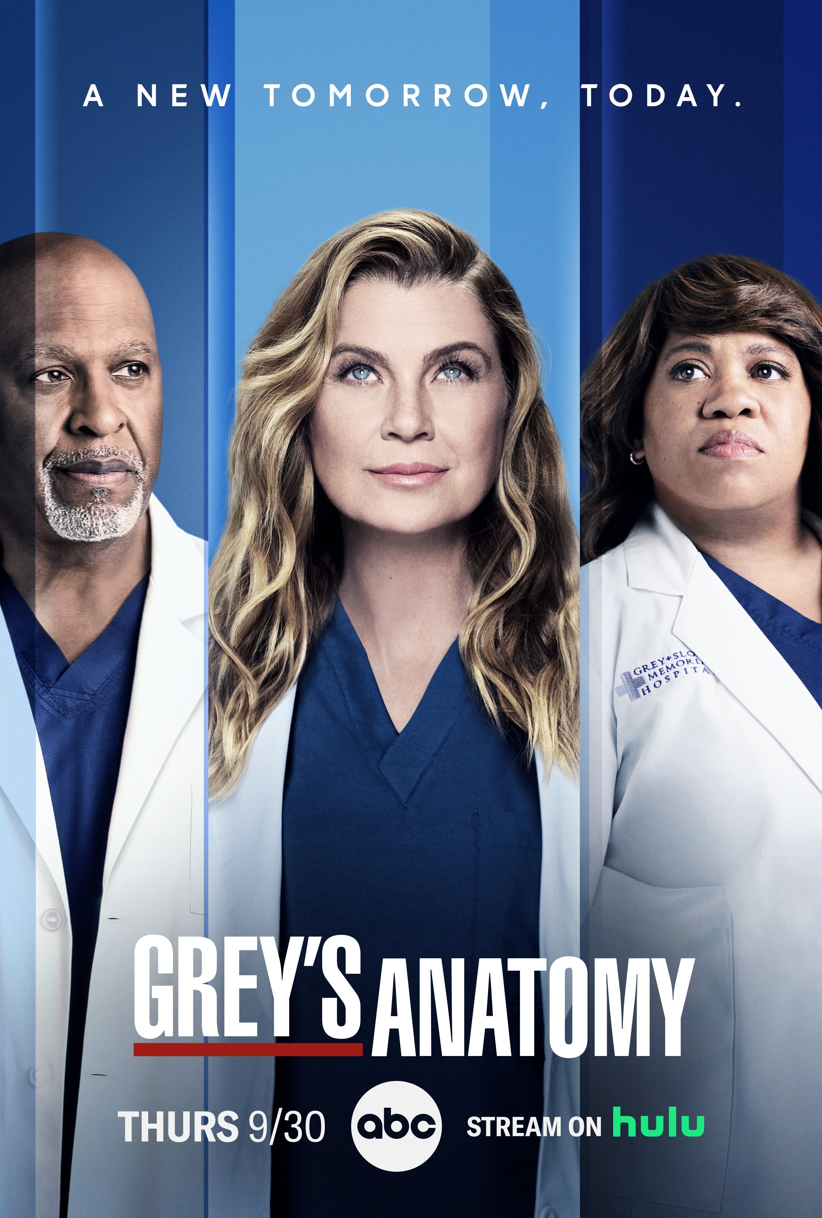 Greys Anatomy TV Show Poster-1