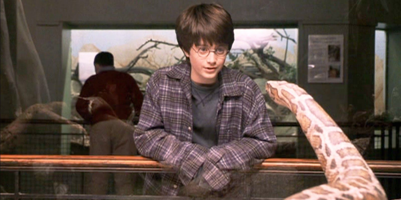 How Old Is Harry Potter in Each Movie?