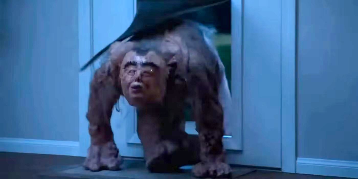 Darmine Doggy Door Demon de Acho que você deveria sair com Tim Robinson