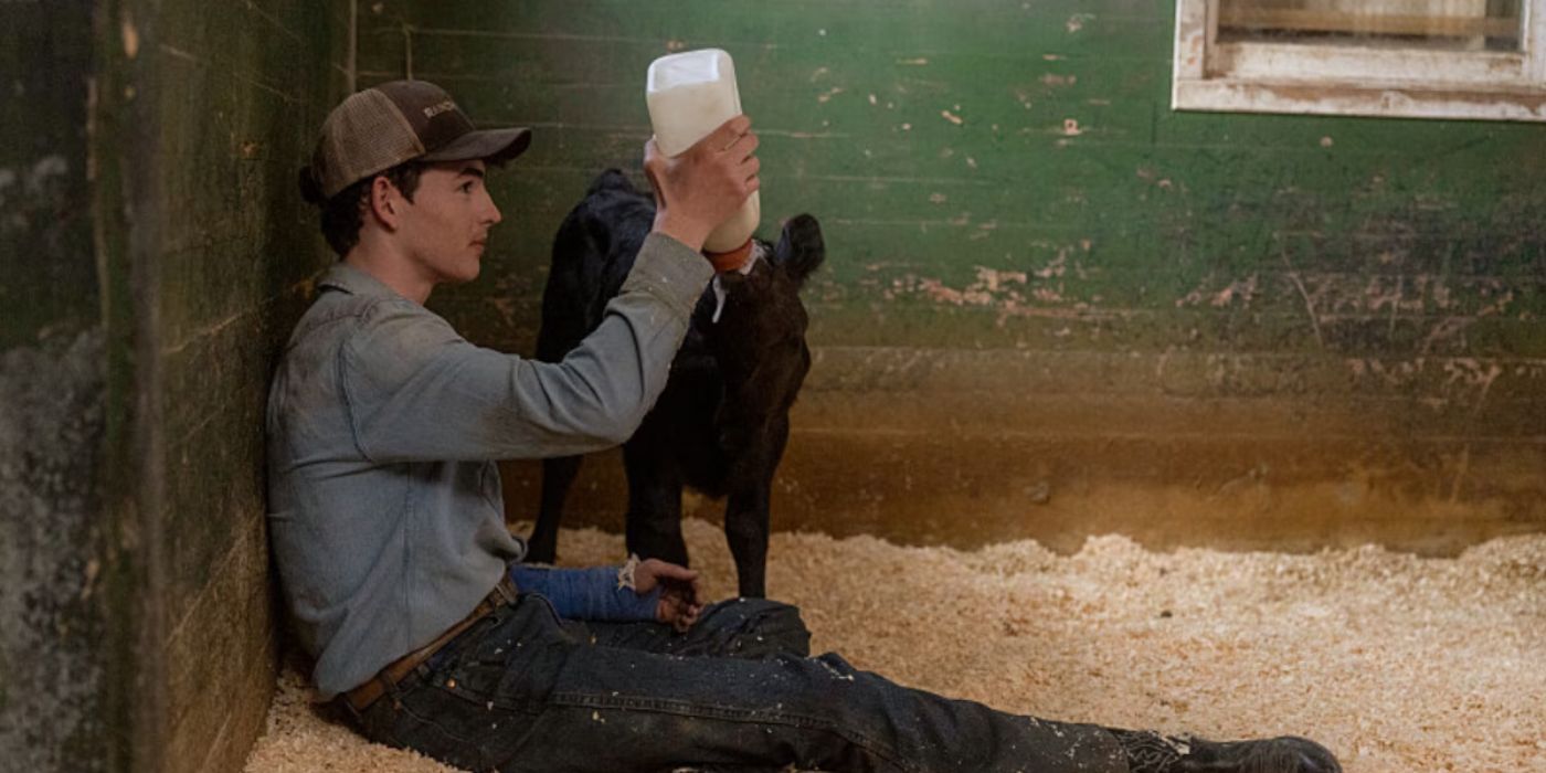 Carter (Finn Little) sits on the floor of a stall and feeds a baby cow in Yellowstone