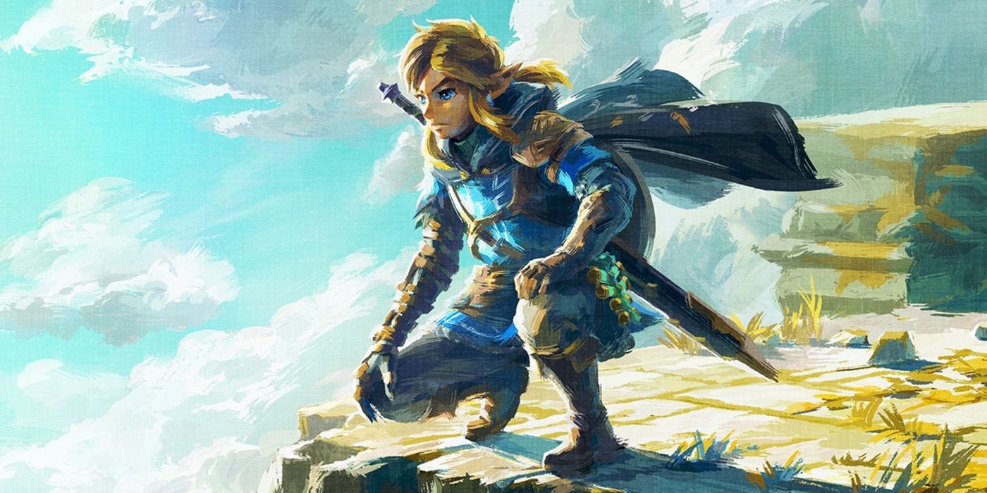 Link crouching on a rock in The Legend of Zelda: Tears of the Kingdom