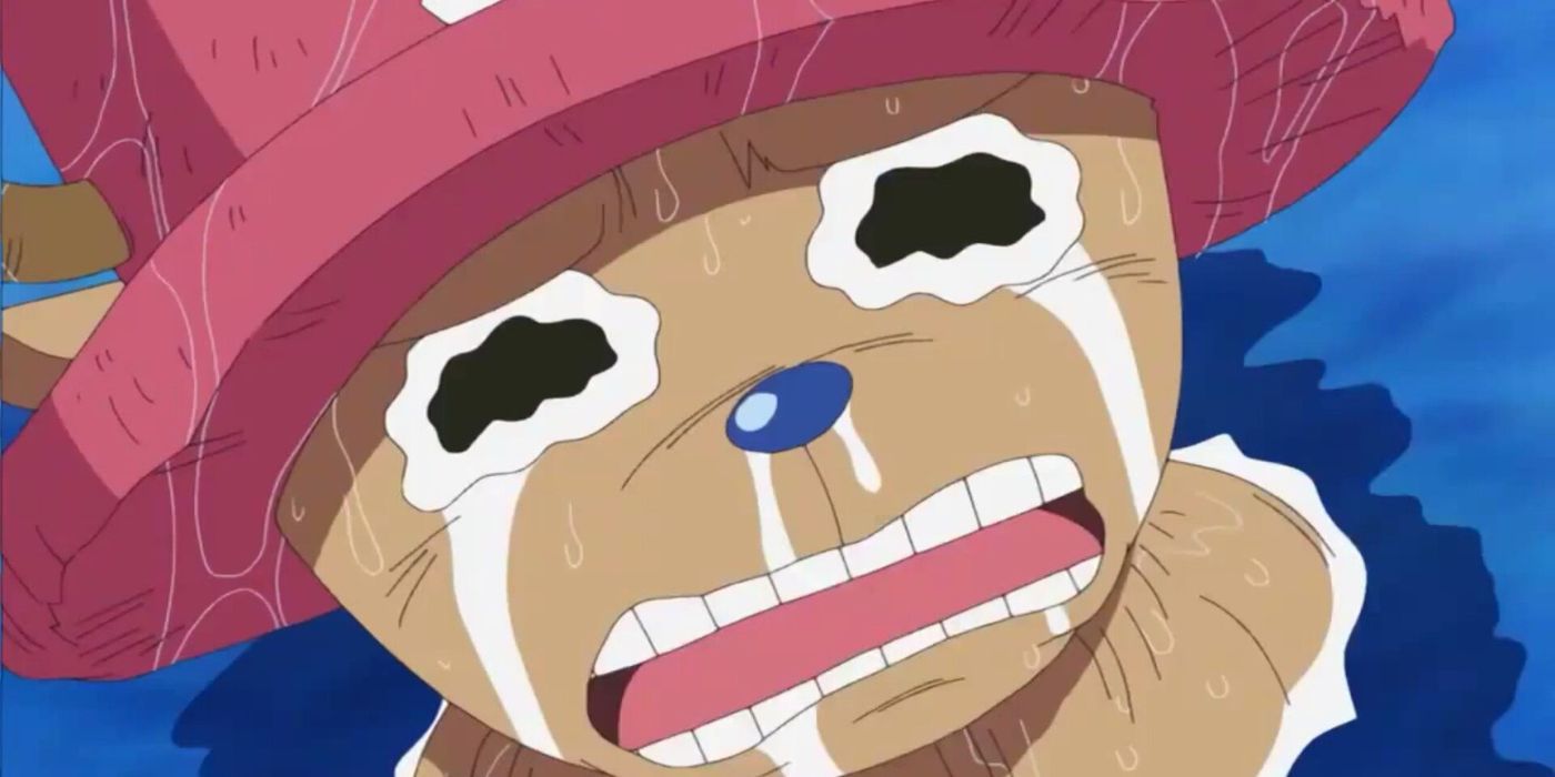 One Piece - We're not crying, there's just something in our eyes