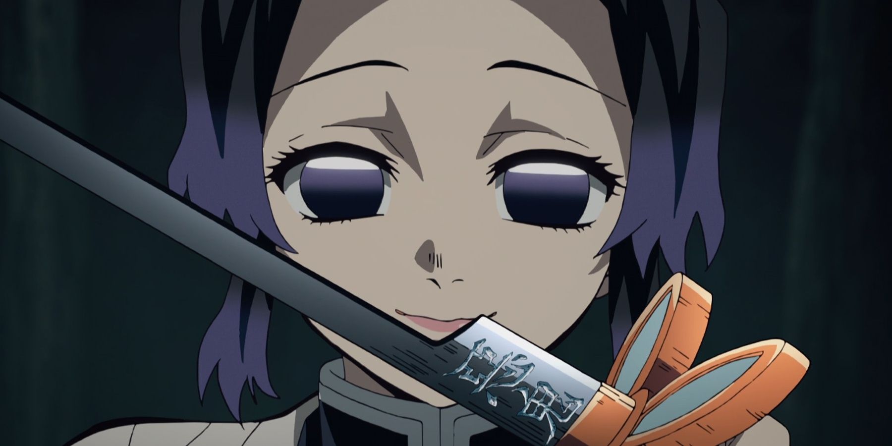 Every Nichirin Sword Color Meaning In Demon Slayer, Ranked