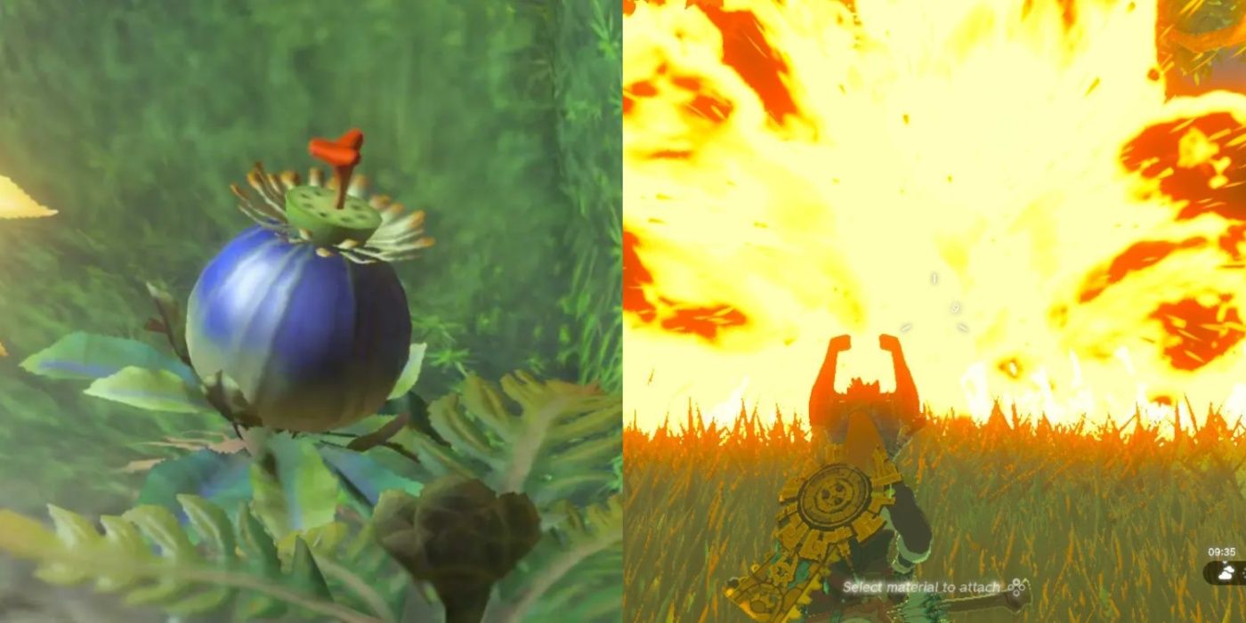 Imagem dividida de uma Bomb Flower e Link usando-a como uma arma em Tears of the Kingdom.