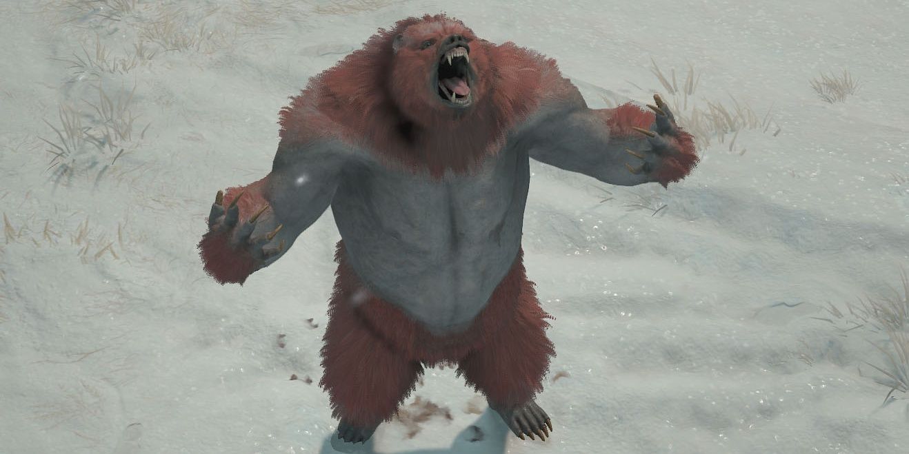 Werebear se preparando para a raiva em Diablo IV