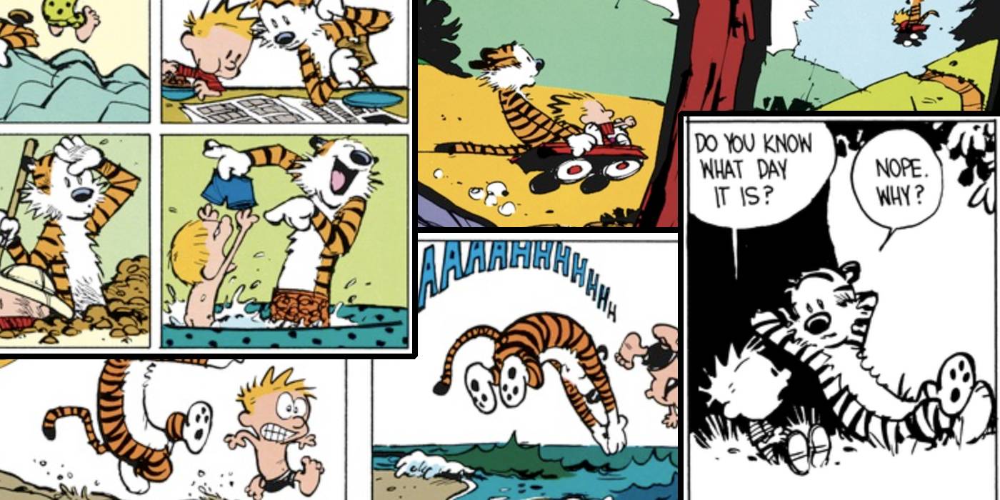 Calvin and hobbes summer vacation