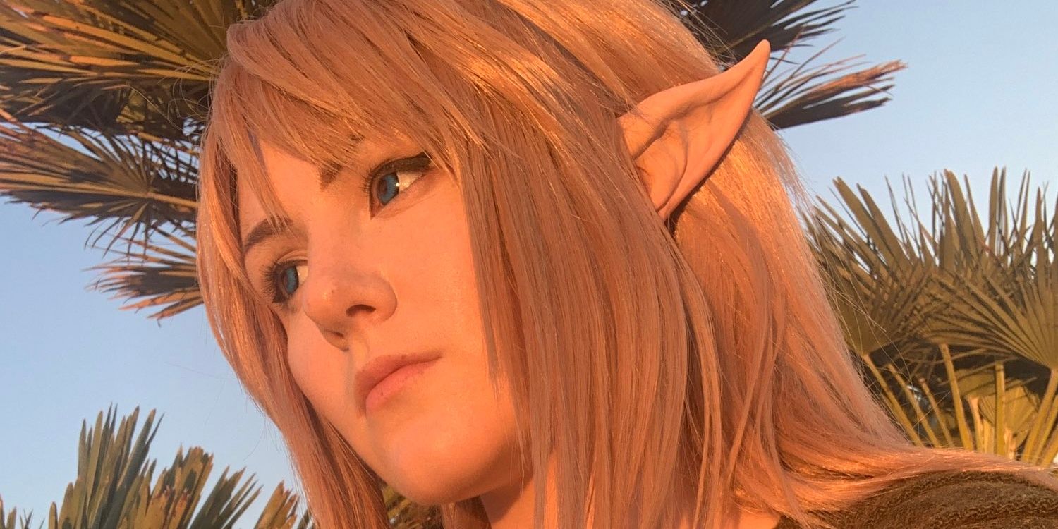 The Legend of Zelda Cosplayer Stuns as Tears of the Kingdom's Link