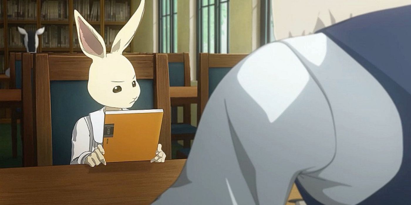 Everything We Know About Beastars Season 3 (So Far)