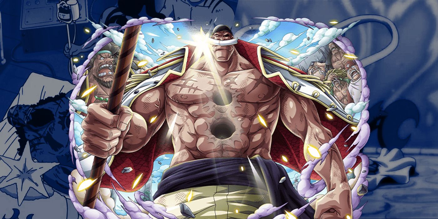 Discover more than 60 anime adventures whitebeard super hot   awesomeenglisheduvn