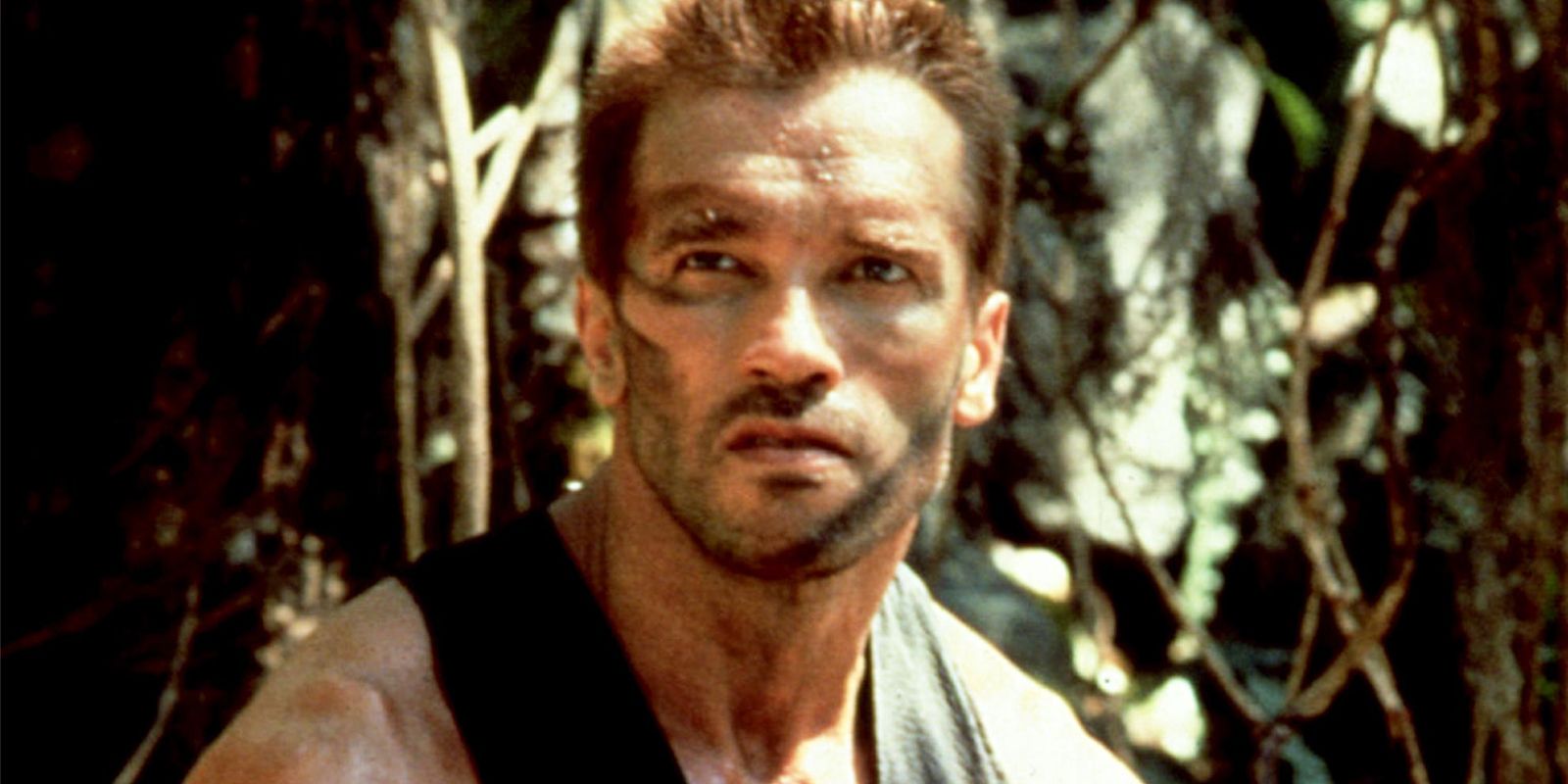 Arnold Schwarzenneger as Dutch in Predator