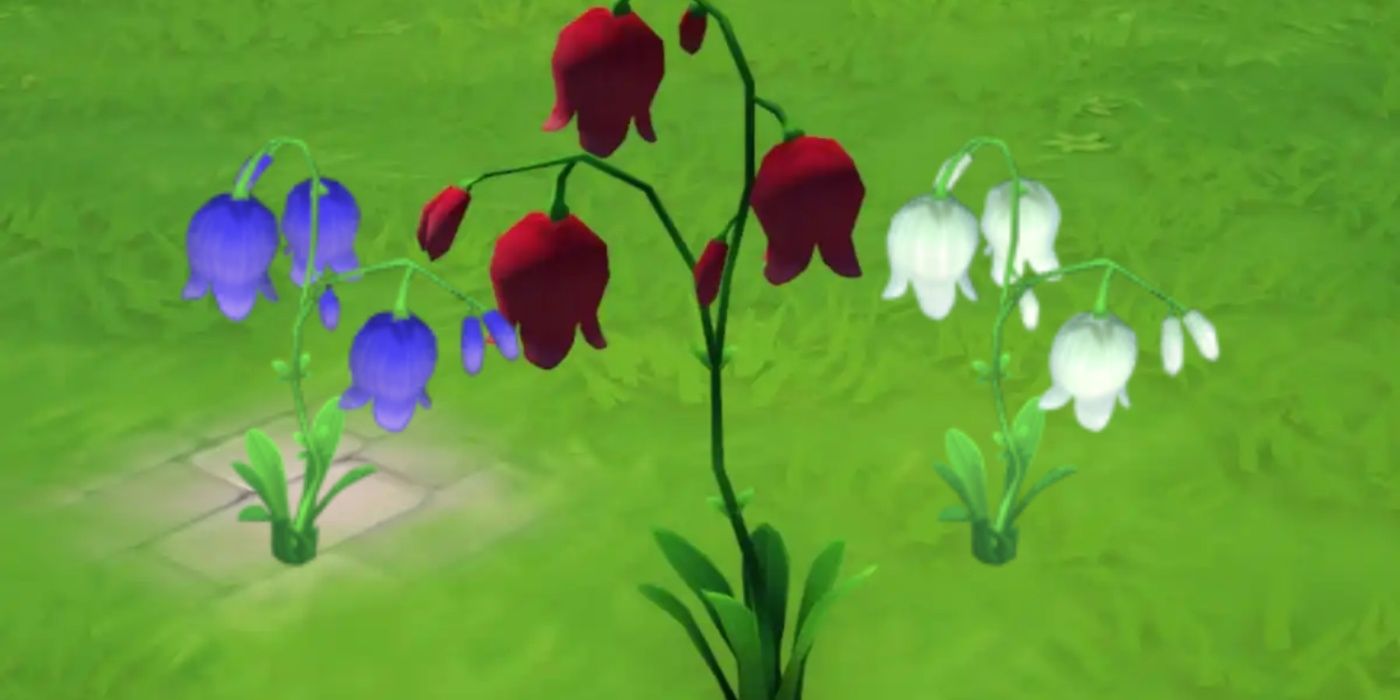 Disney Dreamlight Valley Flower Guide