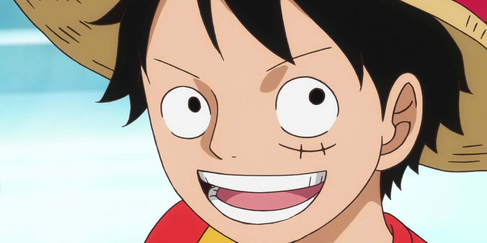 monkey d luffy from the one piece anime