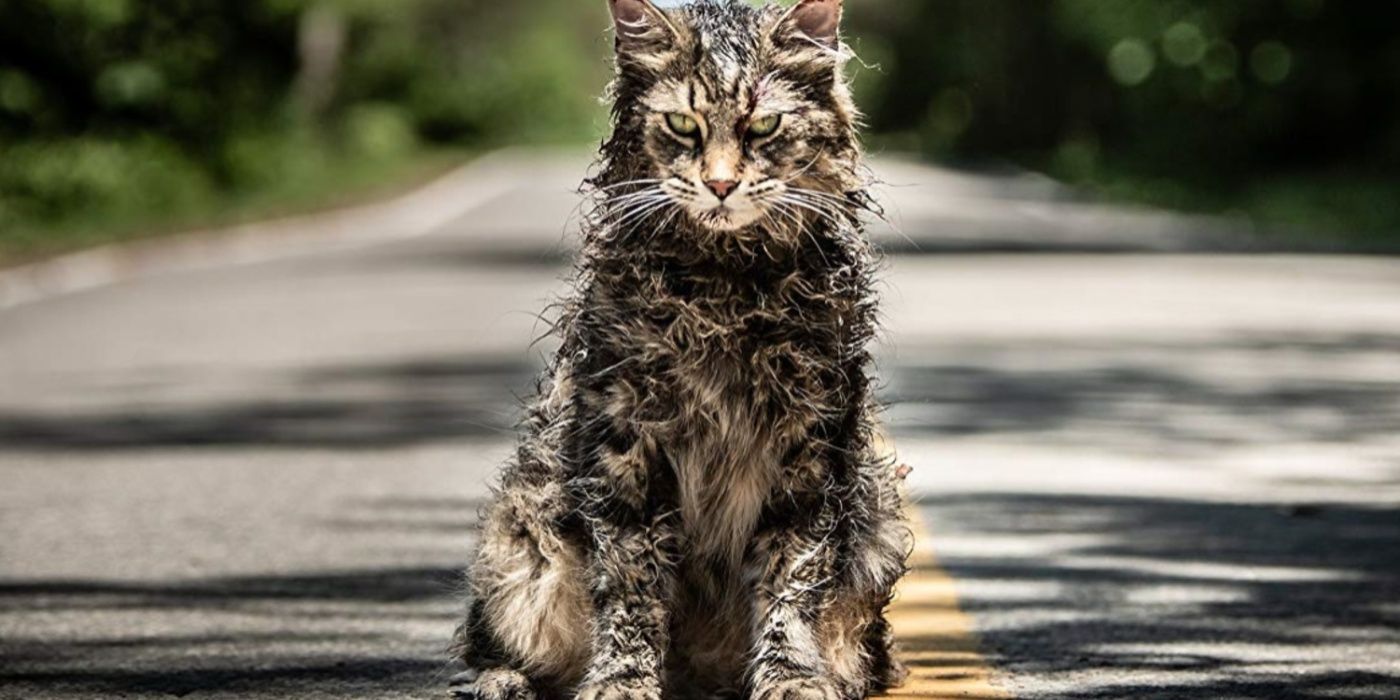 ¿Por qué está mal escrito Pet Sematary? El título icónico de Stephen King, explicado