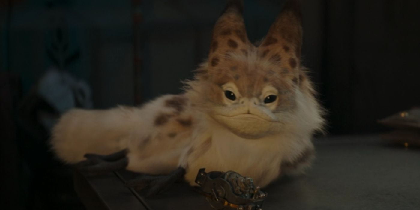 Ahsoka Sabines Loth Cat Is Connected To Star Wars Rebels 