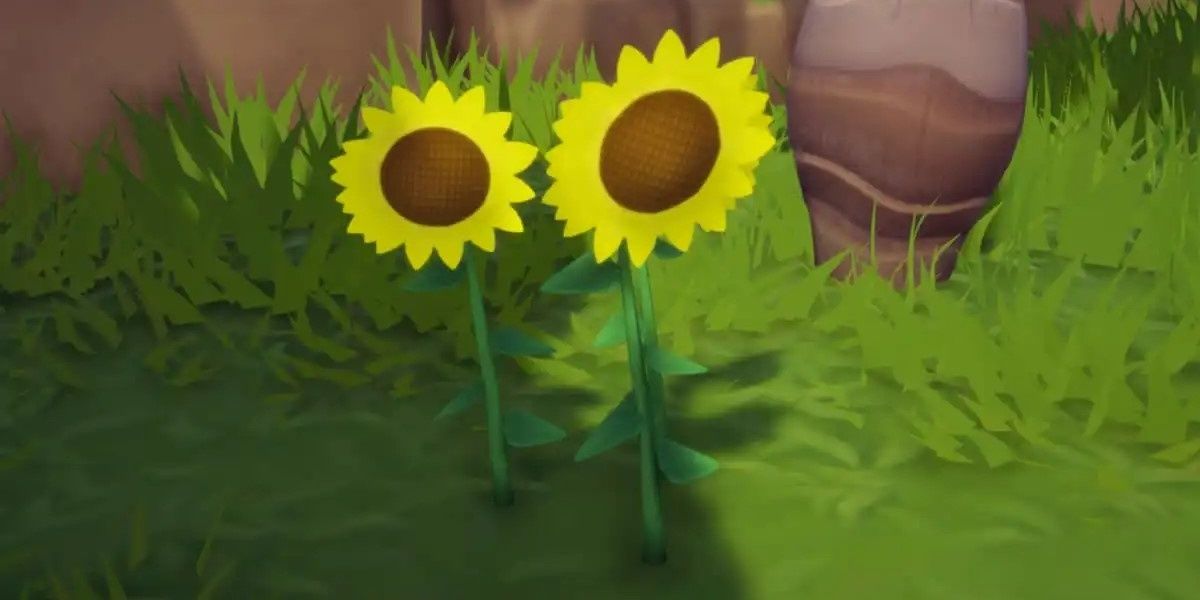 Disney Dreamlight Valley Flower Guide