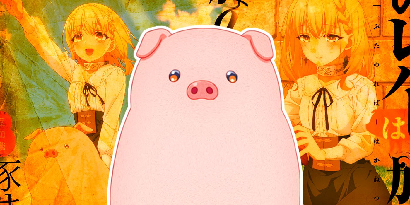 Animation - Ai To Yuki No Pig Girl Tonde Burin DVD Box Digitally Remastered  Edition Part1 (3DVDS) [Japan DVD] BFTD-130 : Movies & TV - Amazon.com