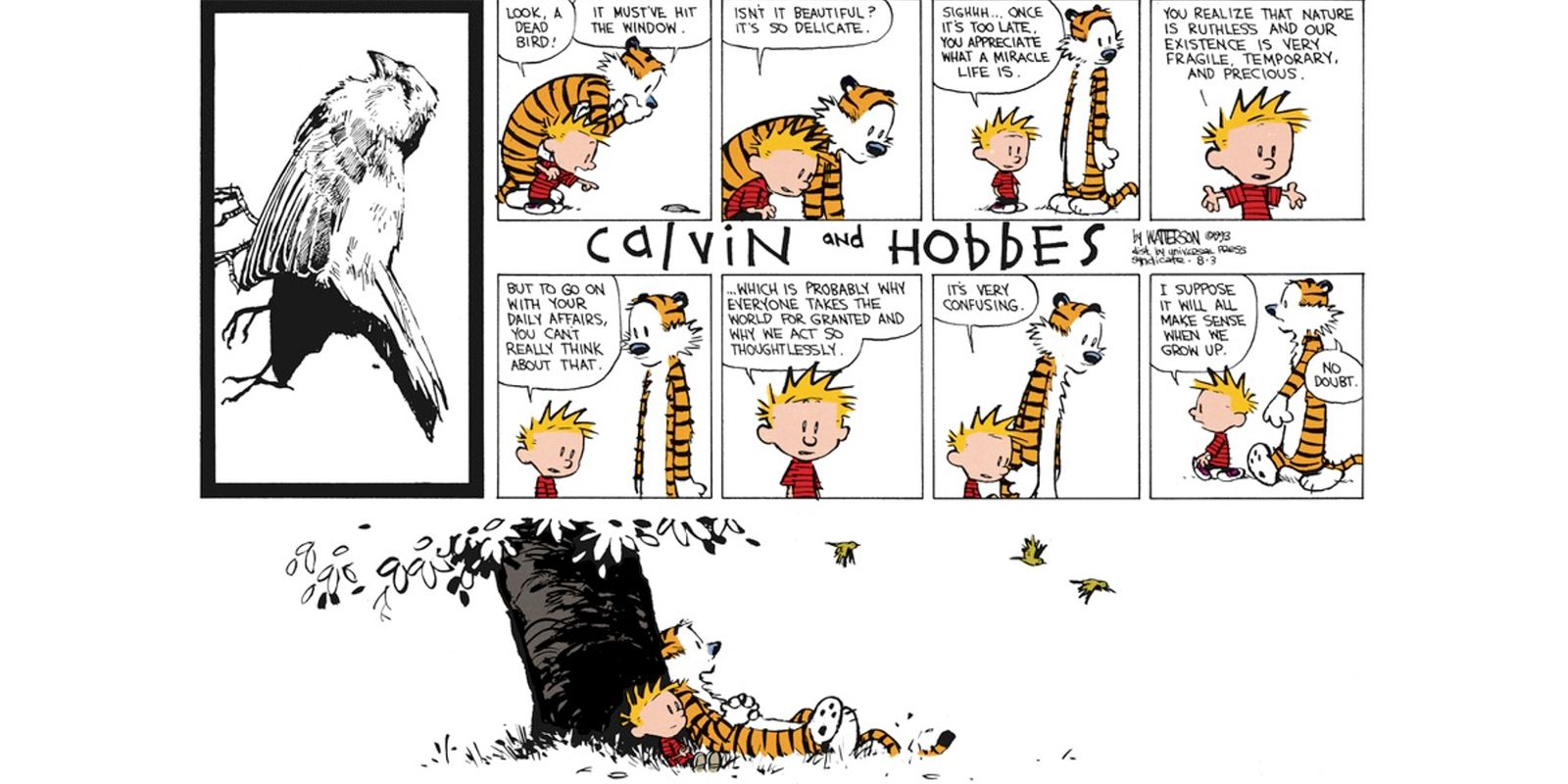 Calvin e Hobbes encontram um pássaro morto e filosofam sobre a vida